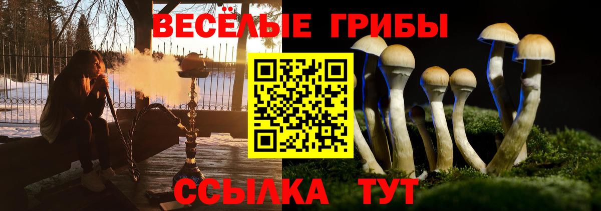 Галлюциногенные грибы Psilocybine cubensis Советский